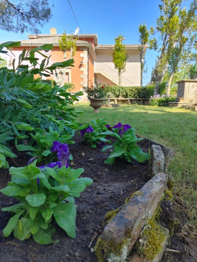 Borgo Sciugolo Bed & Breakfast Baselice ภายนอก รูปภาพ