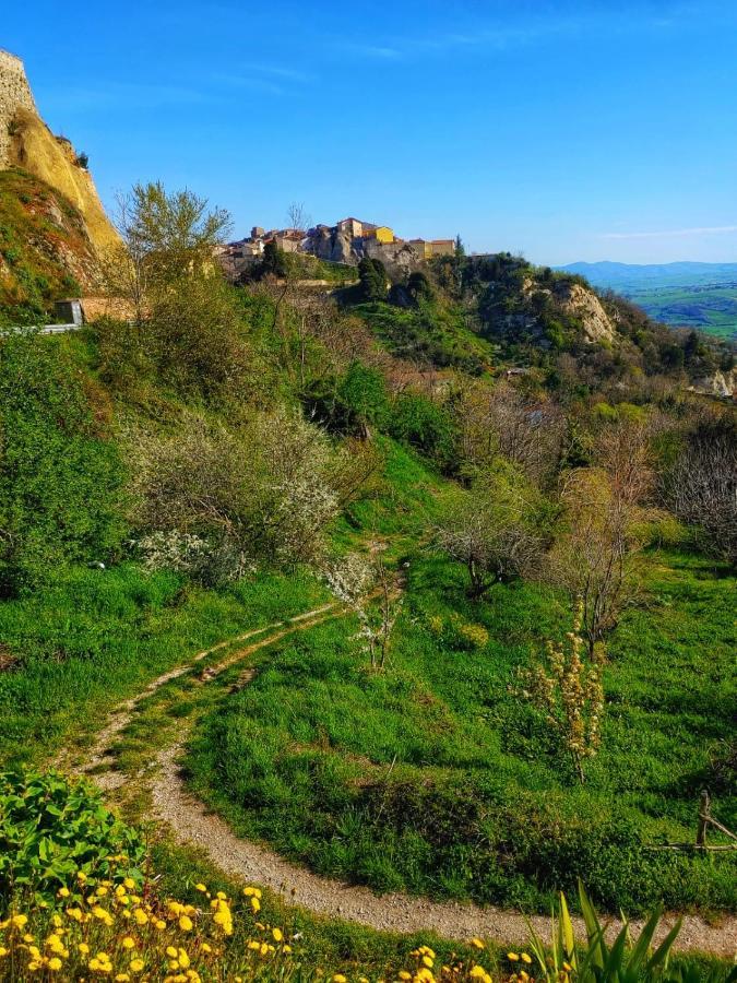 Borgo Sciugolo Bed & Breakfast Baselice ภายนอก รูปภาพ